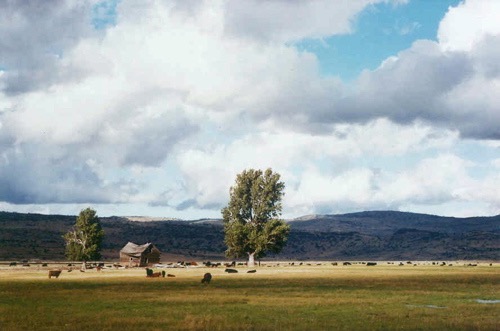 Big Valley