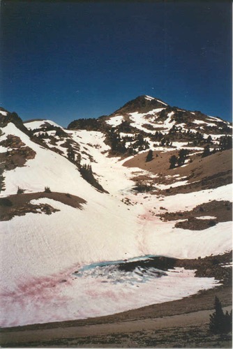 Mt. Lassen