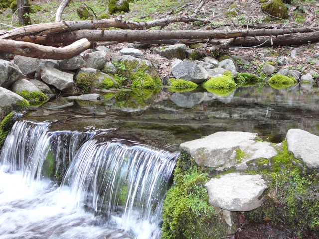 Yosemite flowing spring