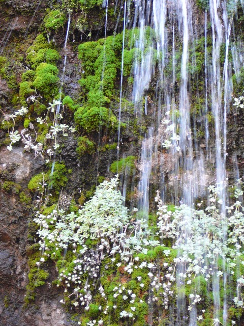 Waterfall Pinnacles National Monument