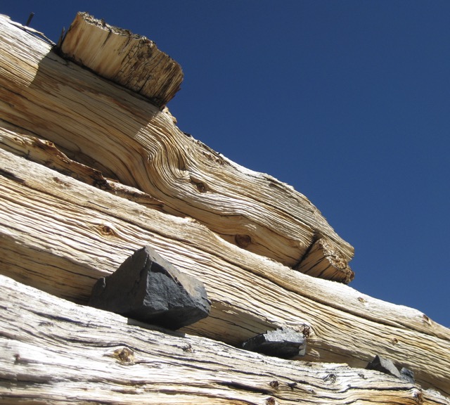 Miner's Cabin, Mono Pass, CA