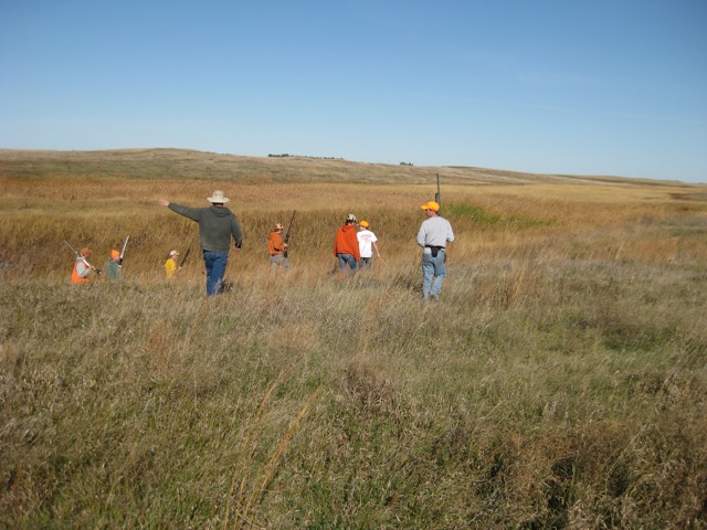 In search of Ringnecks