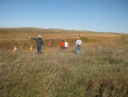 IMG_3386.JPG