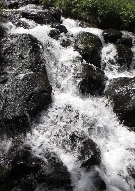 Glacier Creek, Yosemite National Park