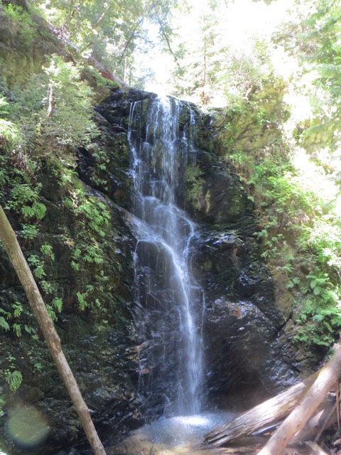 Berry Creek Falls, CA