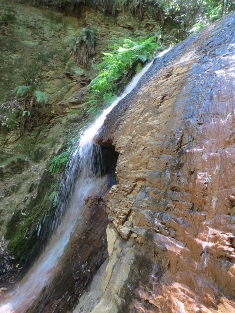 Silver Falls, CA